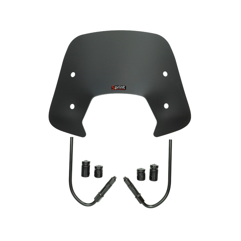 windshield Regia with mounting set low (made in EU) black matt sprint
