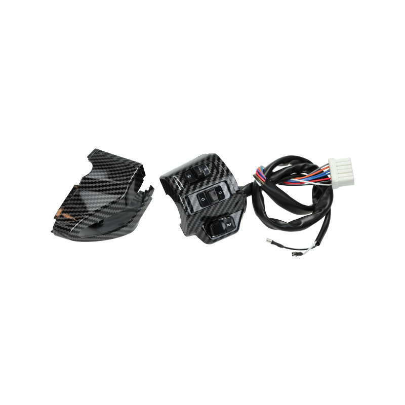 handlebar switch set DMP with wiring harness left carbon Primavera, sprint