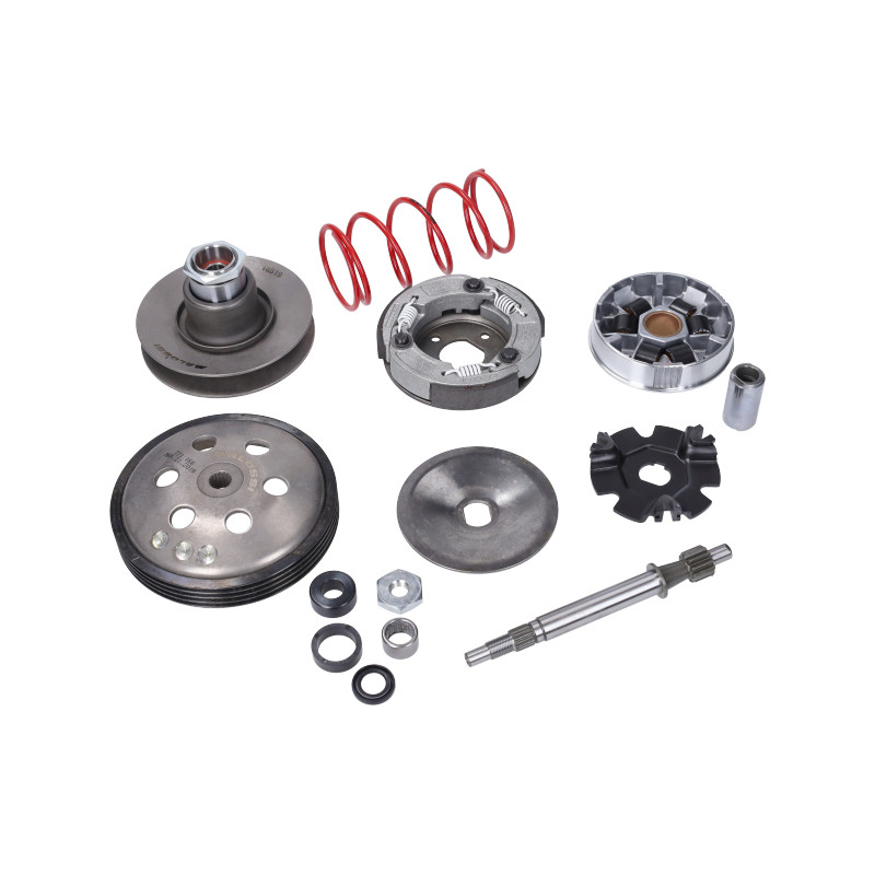overrange systeem malossi bromfiets vespa 6119262