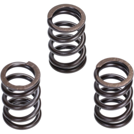 valve Malossi spring set euro-5 liberty IGET, primavera 4t-3v, zip 4t 3v 2919806