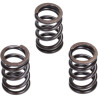 valve Malossi spring set euro-5 liberty IGET, primavera 4t-3v, zip 4t 3v 2919806