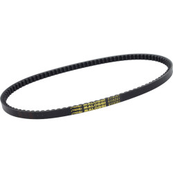 V-belt Malossi 969mm ciao px 6119261