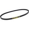 V-belt Malossi 969mm ciao px 6119261