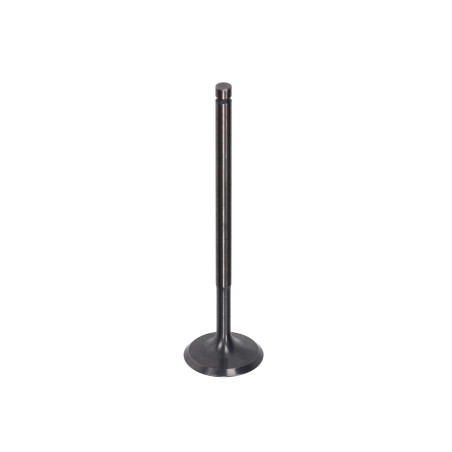 inlaatklep Piaggio origineel euro-4/5 25mm beverly 300cc, gts super 300cc, gtv 300, mp3-300cc 1a009730