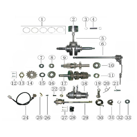 Shift drum assy