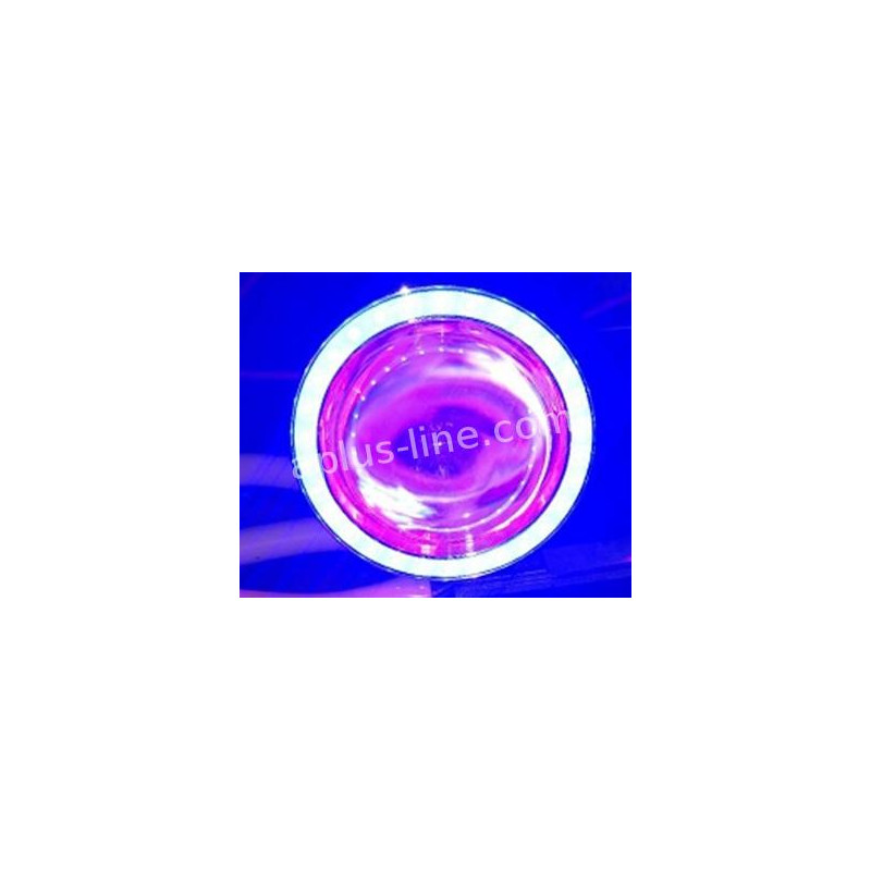 LED ANGEL EYE/DEVIL EYE - ROOD/BLAUW