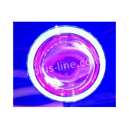 LED ANGEL EYE/DEVIL EYE - ROOD/BLAUW