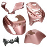PLAATSET APLUS PASSEND OP PIAGGIO ZIP SP 5 DELIG ROSE GOLD