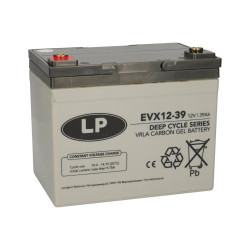 ACCU LP12-33 T6 / VRLA EVX12039 T6 (ENKEL OP BESTELLING)