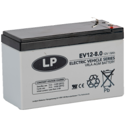 ACCU LP12-8 T1 / VRLA EV120080 T1 (ENKEL OP BESTELLING)