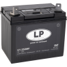ACCU LP U1-250MF / LP U1-250 CA/CA SMF (ENKEL OP BESTELLING)