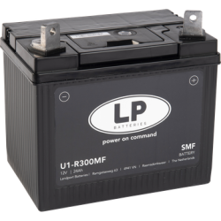 ACCU LP U1-R300MF / LP L&G U1-R300 Ca/Ca SMF (ENKEL OP BESTELLING)