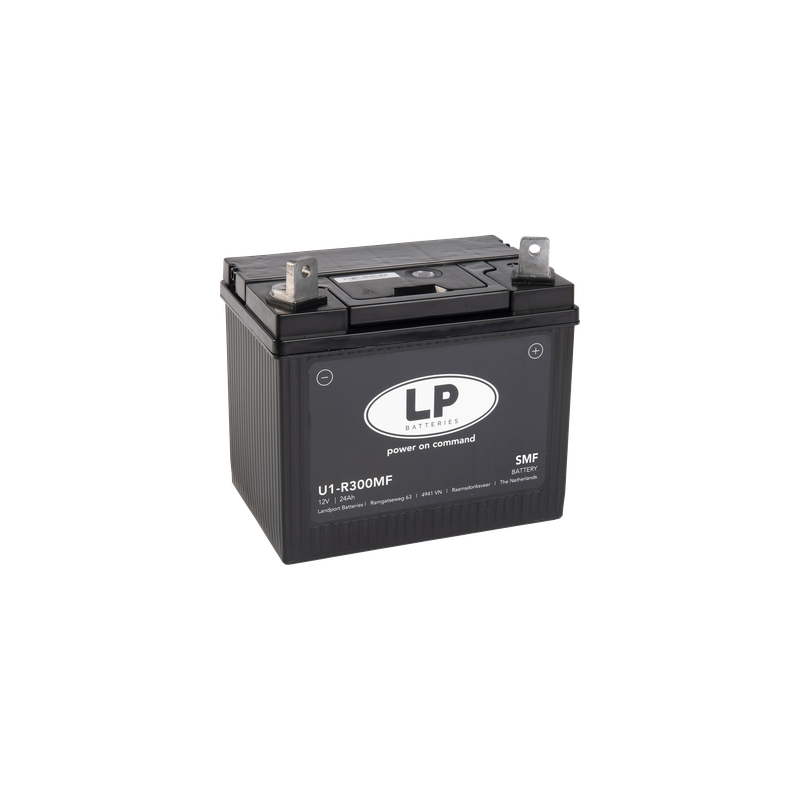 ACCU LP U1-R300MF / LP L&G U1-R300 Ca/Ca SMF (ENKEL OP BESTELLING)