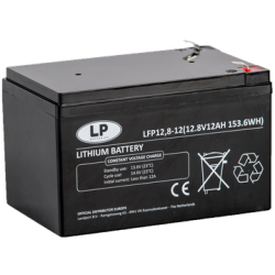 ACCU LFP V12-12 T2 (ALLEEN OP BESTELLING)