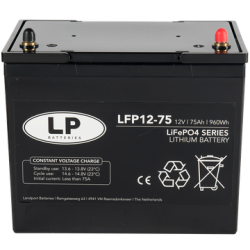 ACCU LFP V12-75 T6 (ALLEEN OP BESTELLING)
