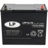 ACCU LFP V12-75 T6 (ALLEEN OP BESTELLING)