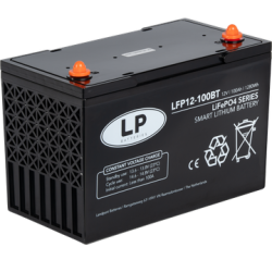 ACCU LFP V12-100BT T11 (ALLEEN OP BESTELLING)