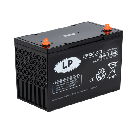 ACCU LFP V12-100BT T11 (ALLEEN OP BESTELLING)