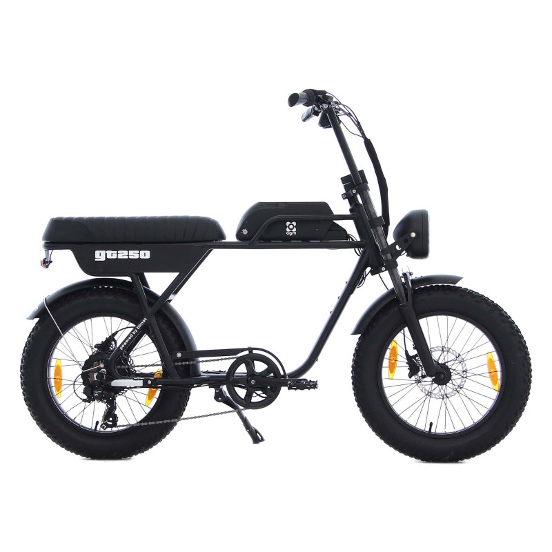 AGM GT250 - 12.8Ah - Zwart