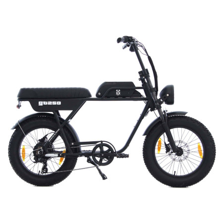 AGM GT250 - 12.8Ah - Zwart