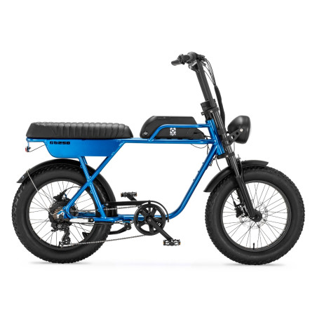 AGM GT250 - 12.8Ah - Blauw