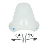 windshield Regia with mounting set + mounting kit (made in EU) iva-venti/btc old classic 73cm agm, dolce vita, pico, trendy