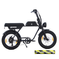 AGM GT250 - 12.8Ah - Zwart - Dropshipping
