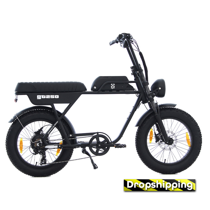 AGM GT250 - 12.8Ah - Zwart - Dropshipping