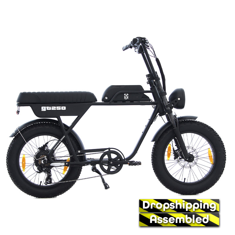 AGM GT250 - 12.8Ah - Zwart - Geassembleerd