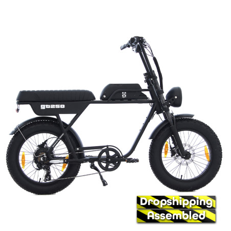 AGM GT250 - 12.8Ah - Zwart - Geassembleerd
