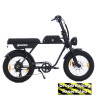 AGM GT250 - 12.8Ah - Zwart - Geassembleerd