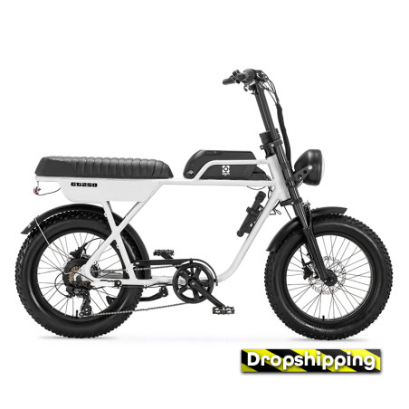 AGM GT250 - 12.8Ah - Wit - Dropshipping