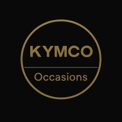 Kymco People S uit 2011 50cc 45km