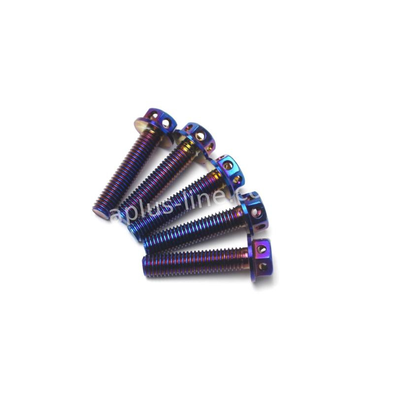 BOUT APLUS M8X35 (10 STUKS) OIL