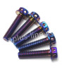 BOUT APLUS M8X35 (10 STUKS) OIL