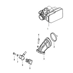 Body, throttle (inc ecu) - 125cc
