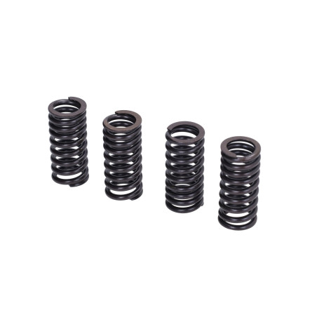 valve spring set Malossi 4-parts piaggio 125-300 2912834