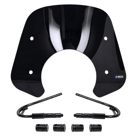 windshield Regia + mounting kit low (made in EU) 2024 black gloss gts all models