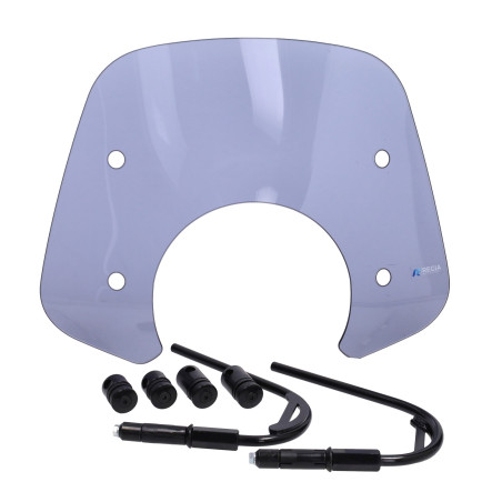 windshield Regia + mounting kit low low (made in EU) 2024 smoke gts all models