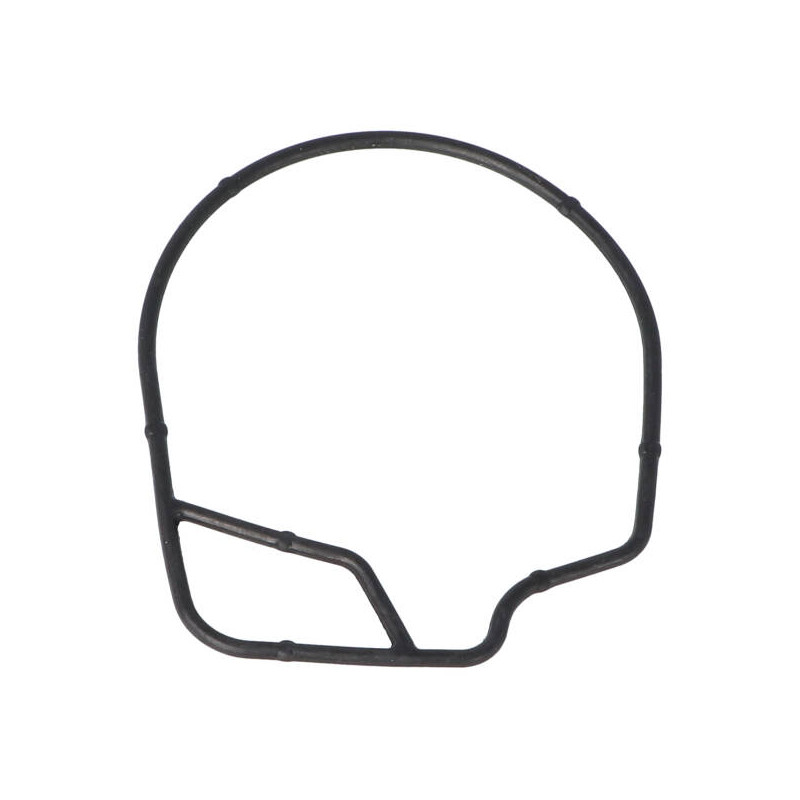 float bowl gasket Dellorto phva