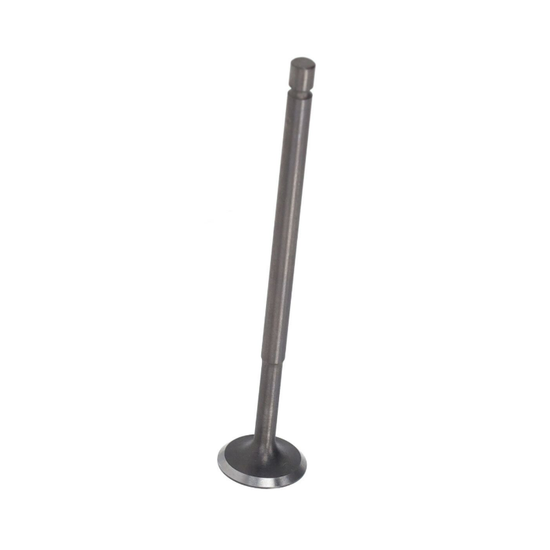 INLAATKLEP PIAGGIO EURO-4/5 3V PRIMAVERA/SPRINT 4T-3V/ ZIP 4T - ORIGINEEL