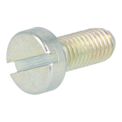 screw Dellorto sha fuel filter cap SI 0419000