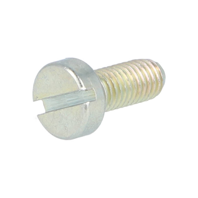 screw Dellorto sha fuel filter cap SI 0419000