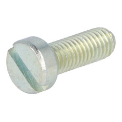throttle slide cover Dellorto bolt
