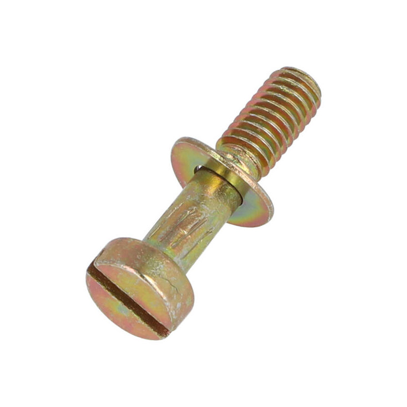 bolt Dellorto carb chamber