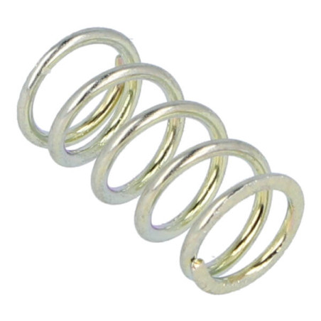 spring Dellorto adjust screw sha citta