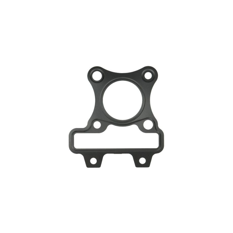 KOPPAKKING PIAGGIO EURO-2 (4T-2V) ZIP /SPRINT/ PRIMAVERA - ORIGINEEL