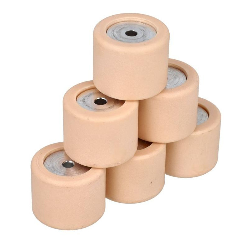 VARIOROLSET PIAGGIO 19X15.5MM 7.5 GRAM LX/FLY/LXV/RUNNER/ ZIP 2000 - ORIGINEEL