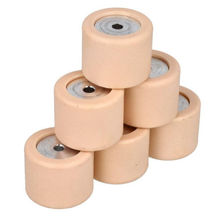 VARIOROLSET PIAGGIO 19X15.5MM 7.5 GRAM LX/FLY/LXV/RUNNER/ ZIP 2000 - ORIGINEEL