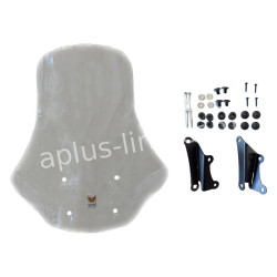 UITLOPEND WINDSCHERM ISOTTA PASSEND OP SEAT MO 125 / SILENCE S01 - TRANSPARANT
